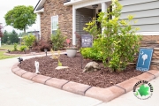 New-landscaping-plants-bushes-Between-the-Edges-NorthAugustaSC