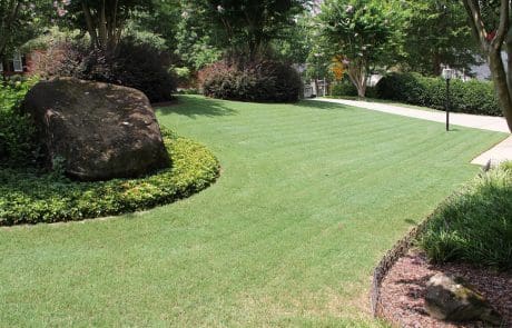 An up-close view of a manicured lawn in in Augusta, GA - by Between The Edges