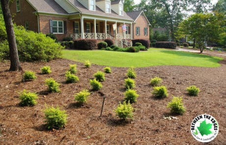 Full-Service Lawn Care by Between The Edges Lawn Care & Landscaping - Grovetown, GA